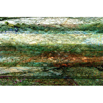 Lines Of Nature I by Danielle Harrington - Wrapped Canvas Print