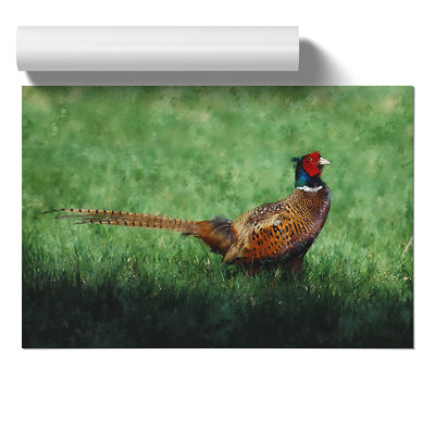 Pheasant Bird Vol.2 - No Frame Print