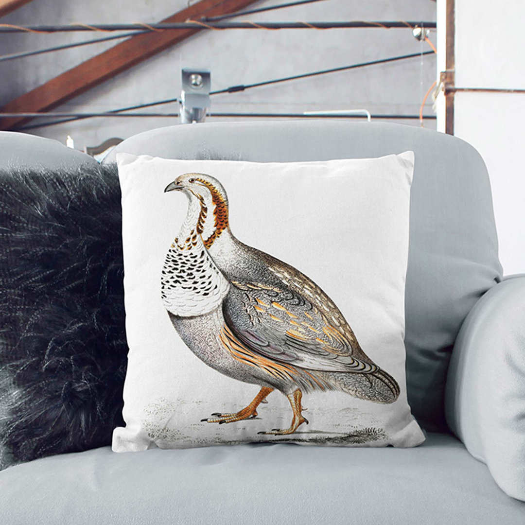 Pheasant Grouse Illustration by John Edward Gray Cushion with Filling