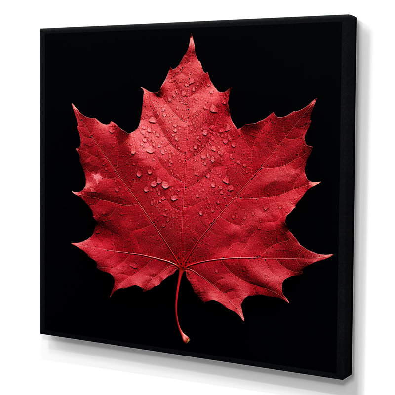 Red Leaves Red Ruby I, H 24 po x l 24 po x P 1 po, Toile tendue