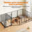 Foldable Metal Wire Dog Cage with Divider-101093291