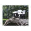 No Frame Print on Canvas-1043562373