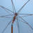 Tyler 73.62'' Beach Umbrella-1879259557