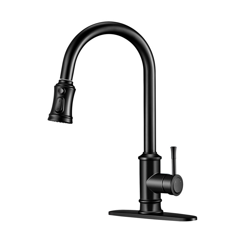 Robinet d'évier de cuisine 3 modes, Noir mat