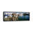 " Fishing Boats At A Dock, Fisherman's Wharf, San Francisco, California, USA " by Panoramic Images-19977025-71973168
