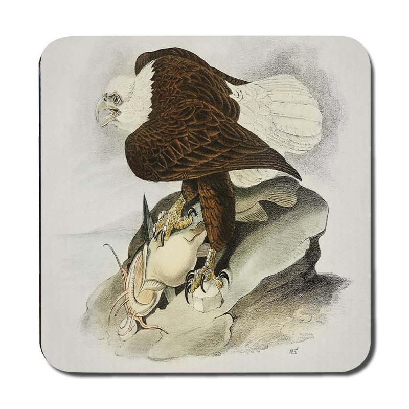 Eagle Themed Placemat And Coaster Set With Vintage Illustration