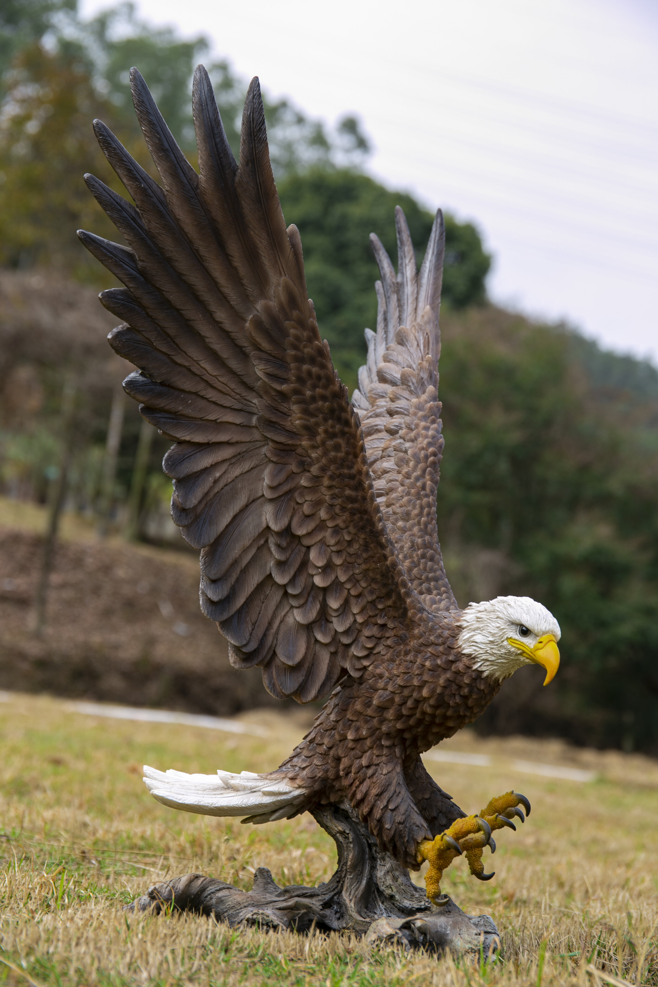 Hi-Line Gift Ltd. Large Flying Eagle Statue & Reviews | Wayfair