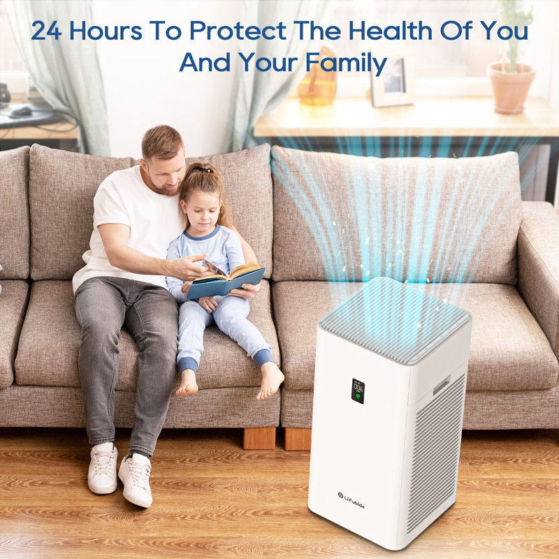 Purificateur d'air pour 4200