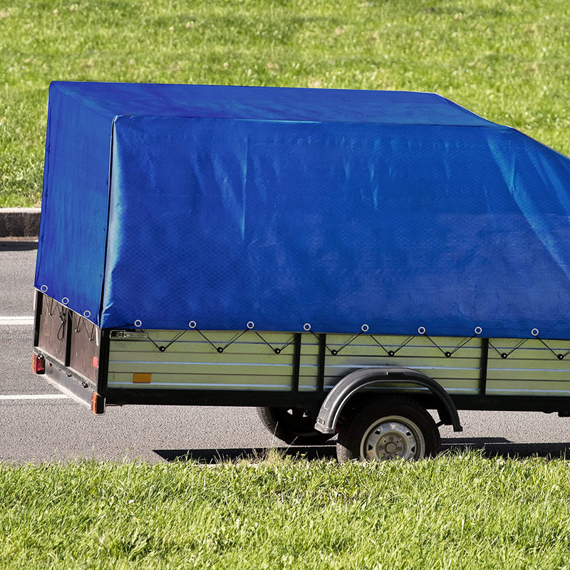 Blue Elephant Polyethylene Plastic Replacement Canopy, 152.4cm H x 213.4cm W x 2.5cm D, Blue