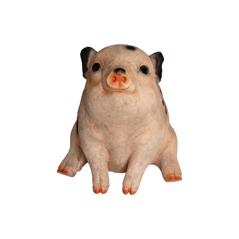 Sitting Pig Looking Up