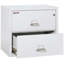 Fireproof 2 - Drawer File Cabinet-221782-332636-12136701