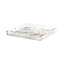 Arcadia Tiger And Zebra Scene Acrylic Square Decorative Tray-811274708