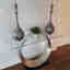 Photos des clients 1 de 1
