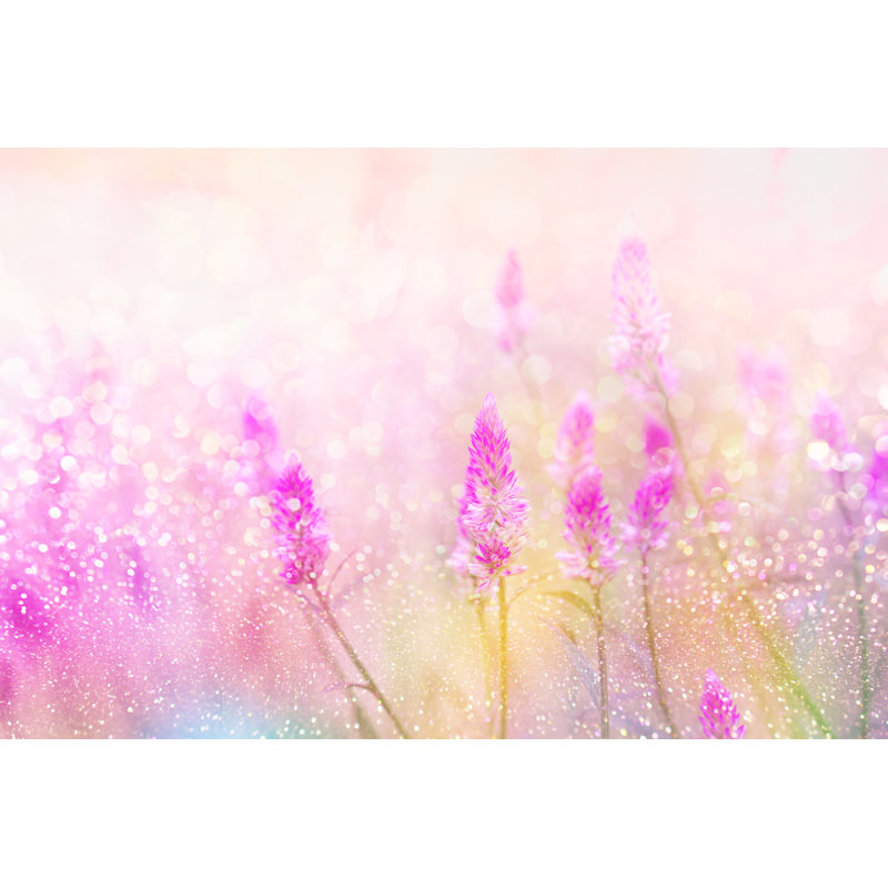 Grass Flower Field In Spring Background With Sunlight Soft Romance by Doucefleur - Wrapped Canvas Print