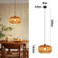 Alyca 1 - Light Bronze Unique/Statement Pendant