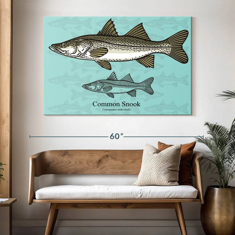Brampt Common Snook, 34" H x 51" W