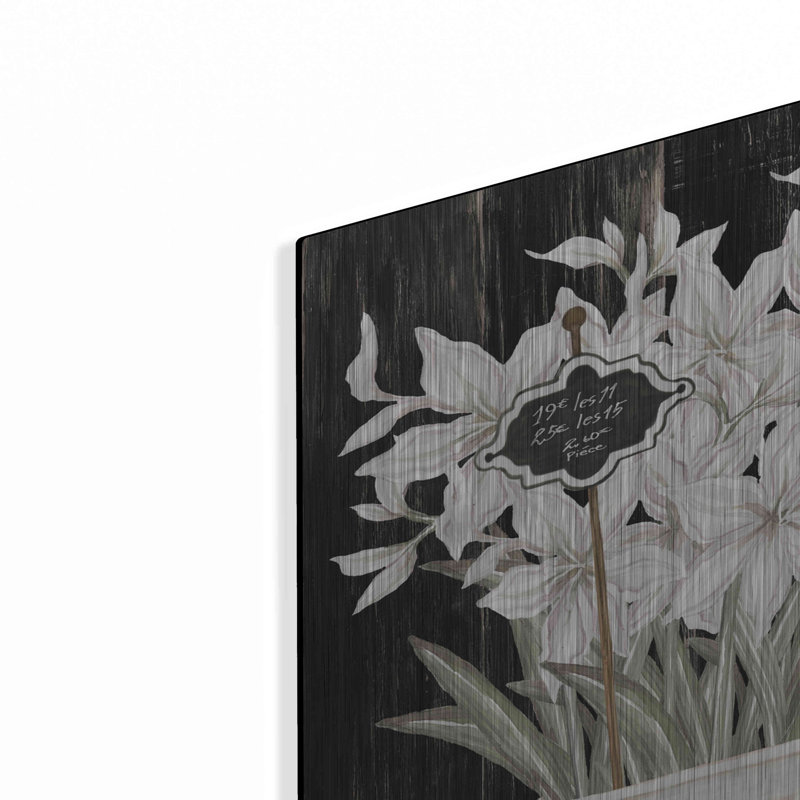 «Amaryllis Still Life» par Cindy Jacobs, art mural en métal, H 36 po x l 36 po