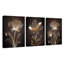 3 Piece Wrapped Canvas Print-1533397706