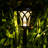Solar Powered Integrated LED Pathway Light Pack-61688106