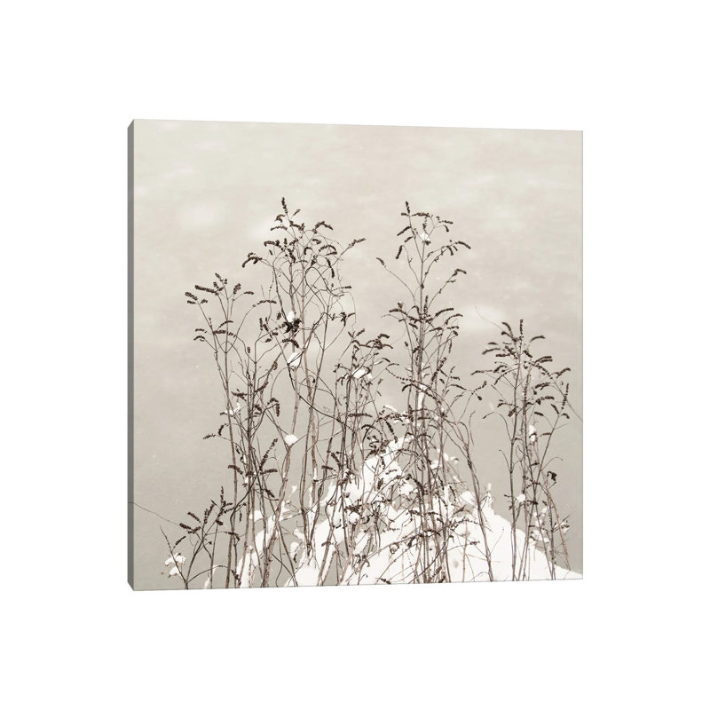 In Unison by Lena Weisbek - Wrapped Canvas Print, 93.98 cm H x 93.98 cm W x 3.175 cm D