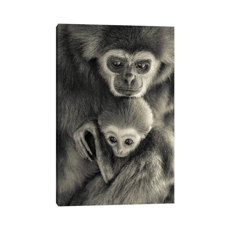 Gibons 1 Piece Wrapped Canvas Wall Art, 20.32 cm H x 30.48 cm W