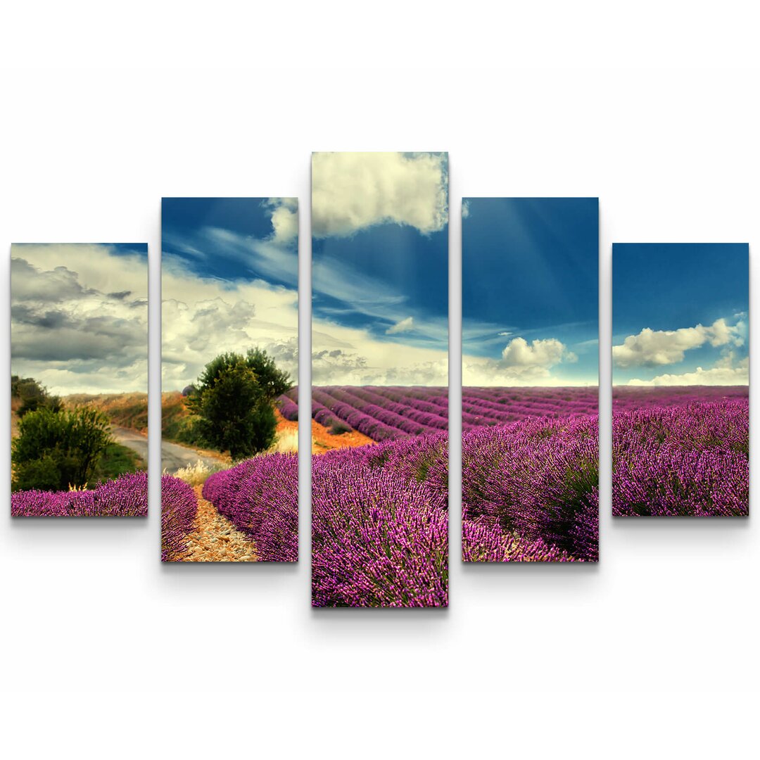 5-tlg. Leinwandbilder-Set Lavendel Felder bei blauem Himmel