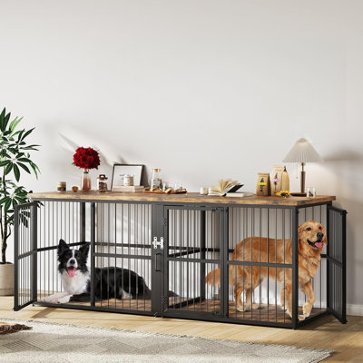Dog House