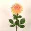 Arrangement floral 28 po Dahlia-816468416