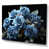 Toile tendue