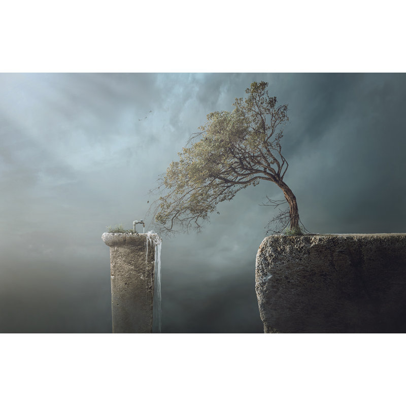 Wrapped Canvas Print, 50.8 cm H x 76.2 cm W
