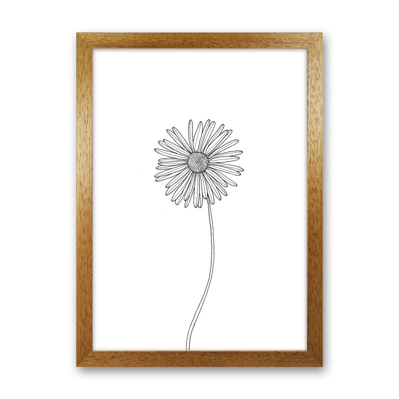 Daisy by Carissa Tanton - Print, Oak Framed, 34cm H x 25cm W x 3cm D