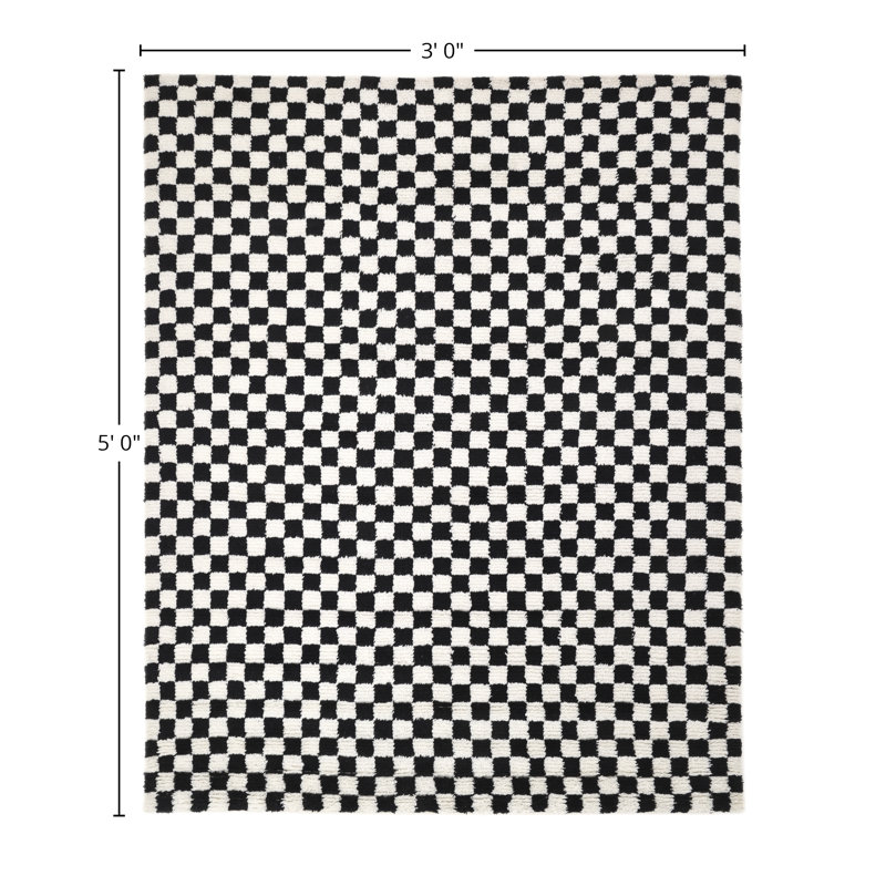 Stamford Checkered Area Rug in Black, Rectangle 3' x 5'
