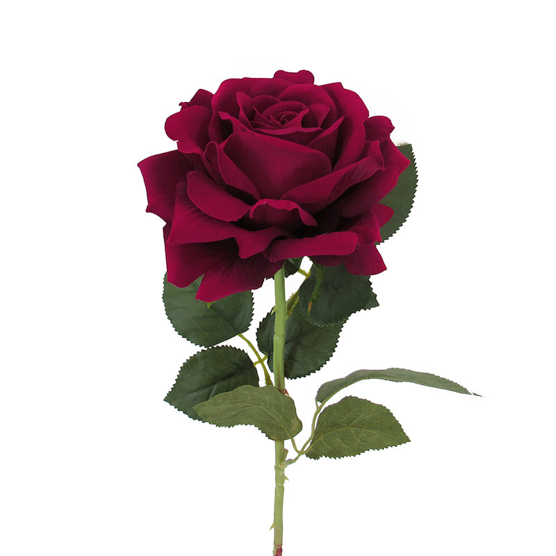 Grandes tiges roses en velours, Bourgogne