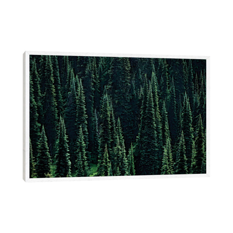 Fir Forest 1 Piece Wall Art on Canvas, 66.04cm H x 101.6cm W x 3.81cm D, White Framed