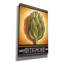 «Market Sign Artichoke» par Cathy Horvath-Buchanan, art mural sur toile-816295075