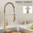 Eqloo Pull Down Kitchen Faucet