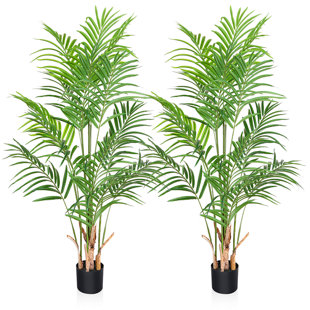 Adcock 2 Artificial Palm in Pot Set, Faux Green Palm Plant, Fake Palm Tree for Home Decor (Set of 2)