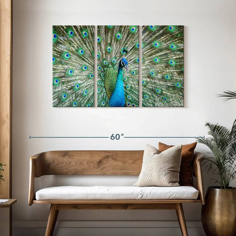 Brampt Peacock Displaying Tail, 28" H x 45" W
