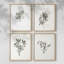 «Vintage Floral Print», impression encadrée CCI - ensemble de 4-2086759046-2086759044