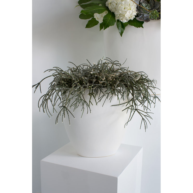 Elma Handmade Ceramic Table Vase, 16" H x 15.75" W x 5.5" D, White