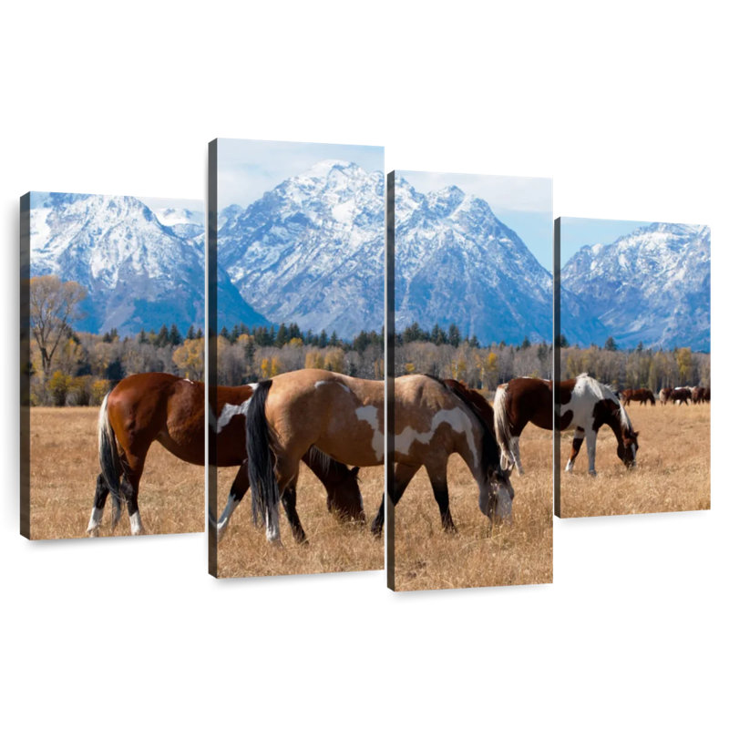 Brampt broutant des chevaux Grand Teton, H 27 po x l 43 po