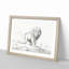 Lion by Jean Bernard - Picture Frame Drawing Print-55580539-55580540