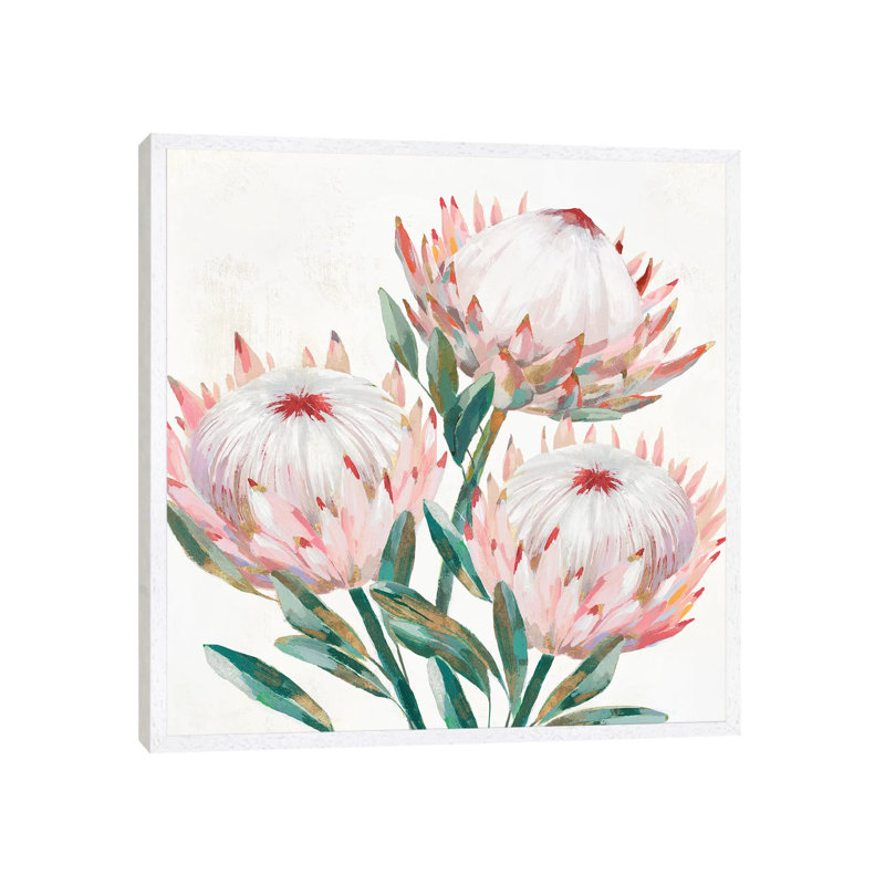 King Protea II by Isabelle Z - Painting on Canvas, 45.72 cm H x 45.72 cm W, White Framed