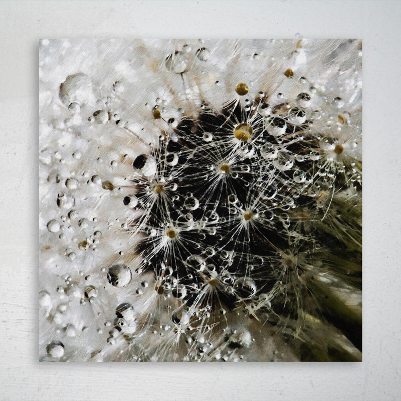 «White Flower With Water Drops», reproduction d'art rectangulaire sur toile tendue 1 pièce, H 32 po x l 32 po