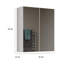 W H Medicine Cabinet Mirror