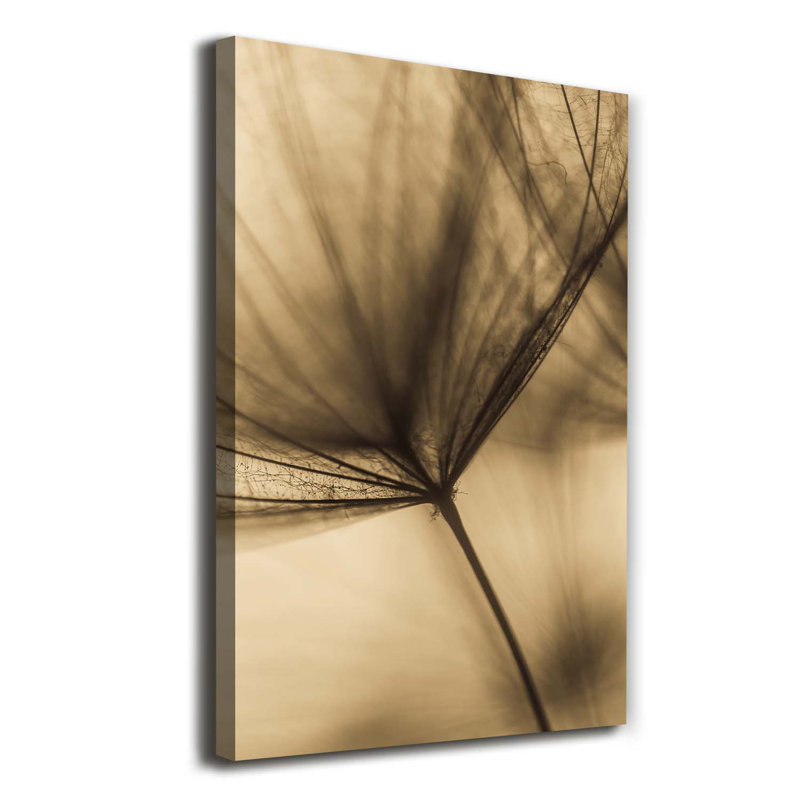 The Dandelion Was Sown - Wrapped Canvas Print