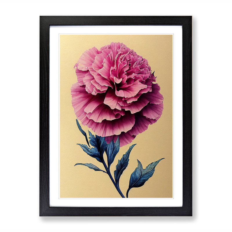 Watercolour Carnation Flower - Picture Frame Print, Black, 46cm H x 34cm W x 2cm D