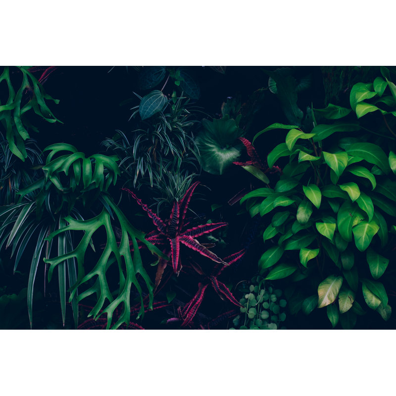Jungle Leaves Background by Jasmina007, 20" H x 30" W
