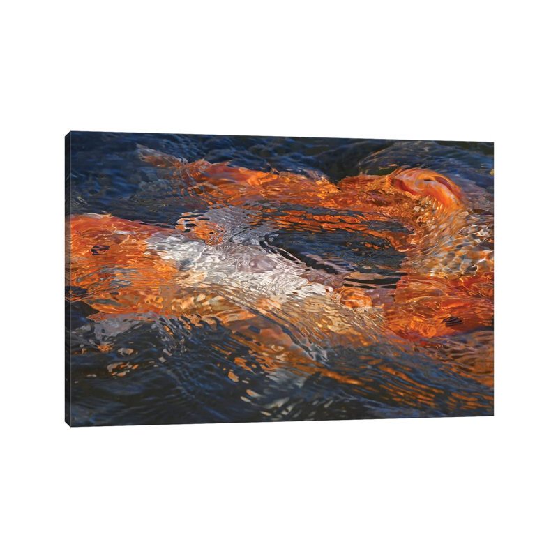 Koi Colours Abstract by Brian Wolf - Wrapped Canvas Print, 45.72cm H x 66.04cm W