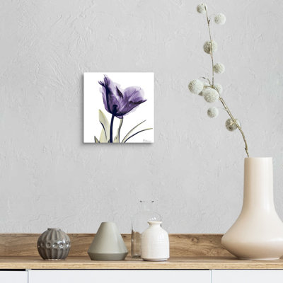 Manigault 'Purple Flower by Kiranjit Photographic Print